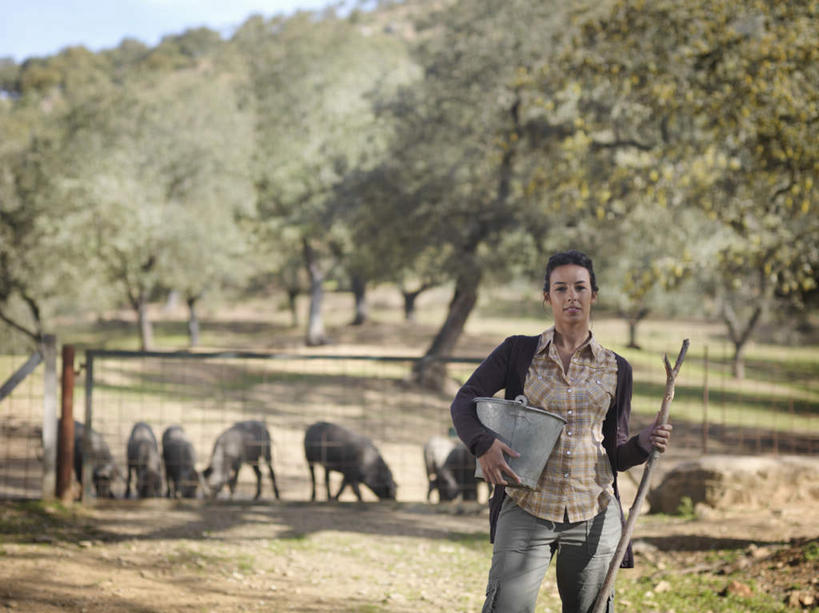 西方人,一个人,站,横图,室外,白天,正面,草地,草坪,植物,猪,欧洲,欧洲人,仅一个年轻女性,仅一个女性,仅一个人,一根,许多,握,阴影,服装,朦胧,模糊,光线,棍子,铁桶,桶,影子,很多,拿,拿着,注视,休闲装,草,树,树木,一个,衣服,蓝色,绿色,蓝天,天空,阳光,自然,动物,容器,天,观察,看,站着,休闲,休闲服,家畜,握着,服饰,牲畜,生长,晴朗,单个,成长,观看,储藏,察看,储存,关注,万里无云,年轻女性,女人,女性,白种人,晴空,晴空万里,站立,半身,彩图,贮存