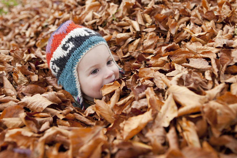 西方人,儿童,一个人,笑,微笑,横图,俯视,室外,白天,纯洁,帽子,叶子,欧洲,欧洲人,仅一个女性,仅一个人,一堆,堆叠,堆积,枯叶,落叶,注视,小孩,观察,看,仅一个小孩,可爱,童年,童趣,观看,堆,察看,关注,童真,烂漫,无邪,棉帽,天真,女孩,女人,女性,白种人,孩子,叶,叶片,半身,彩图,高角度拍摄,女生