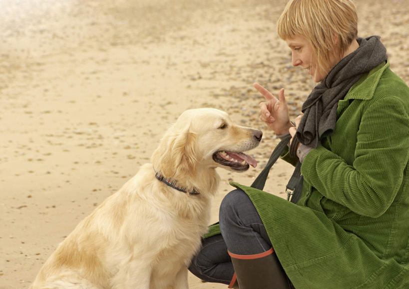西方人,一个人,蹲,横图,室外,白天,侧面,沙滩,宠物,狗,欧洲,欧洲人,仅一个女性,仅一个人,服装,装饰,沙子,海岸,沙地,注视,休闲装,金毛犬,衣服,动物,围巾,观察,看,仅一个中年女性,休闲,温暖,休闲服,可爱,服饰,金毛,围脖,观看,保暖,华丽,点缀,察看,金毛猎犬,御寒,关注,寻回犬,金毛寻回犬,忠诚,衬托,美观,雅致,雅观,金毛狗,金毛寻回狗,寻回狗,女人,女性,中年女性,白种人,海滩,犬,蹲着,半身,彩图