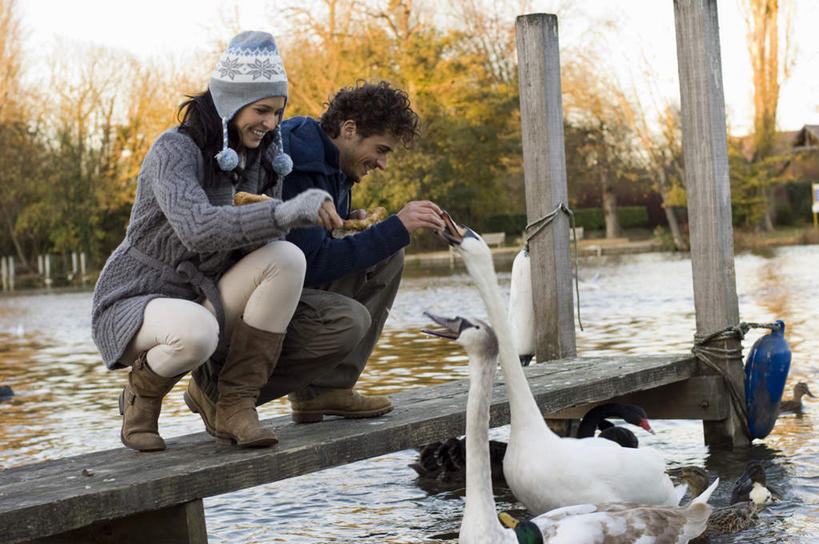 西方人,两个人,家庭,夫妻,码头,蹲,笑,微笑,露齿笑,横图,室外,白天,正面,爱情,湖,湖泊,树林,水,植物,港口,鸟,野生动物,天鹅,帽子,欧洲,欧洲人,四只,喂食,握,服装,鸟类,木板,柱子,湖面,水流,水面,桥,木桥,浪漫,拿,拿着,注视,栈桥,树,树木,衣服,绿色,天空,自然,动物,湖水,天,观察,看,温暖,温馨,一家人,棉衣,恩爱,可爱,握着,恋人,服饰,生长,成长,观看,人行桥,木板桥,保暖,游动,和睦,察看,御寒,关注,缆绳,棉袄,系船柱,缆绳桩,缆绳柱,系缆桩,棉帽,棉服,冬装,男人,男性,年轻男性,年轻女性,女人,女性,白种人,年轻人,夫妇,情侣,鹄,蹲着,彩图,全身,摆渡口,埠头,渡口,渡头,港湾,海港,货运码头,口岸,商港,袄子,棉被服,伴侣,融洽