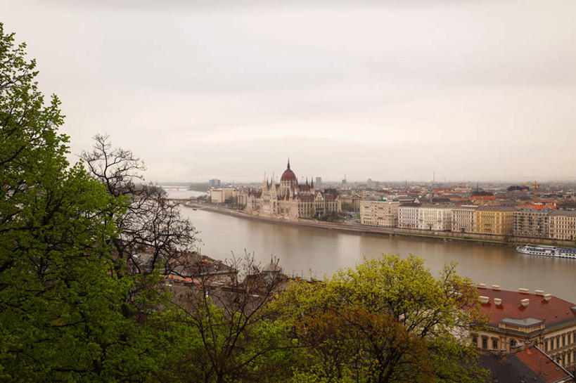 无人,家,横图,俯视,室外,白天,河流,美景,水,植物,欧洲,匈牙利,阴影,光线,影子,房屋,屋子,河水,景观,水流,首都,楼房,住宅,树,树木,绿色,天空,阳光,自然,天,景色,生长,成长,布达佩斯,自然风光,中欧,多瑙河,匈牙利共和国,彩图,高角度拍摄,房子