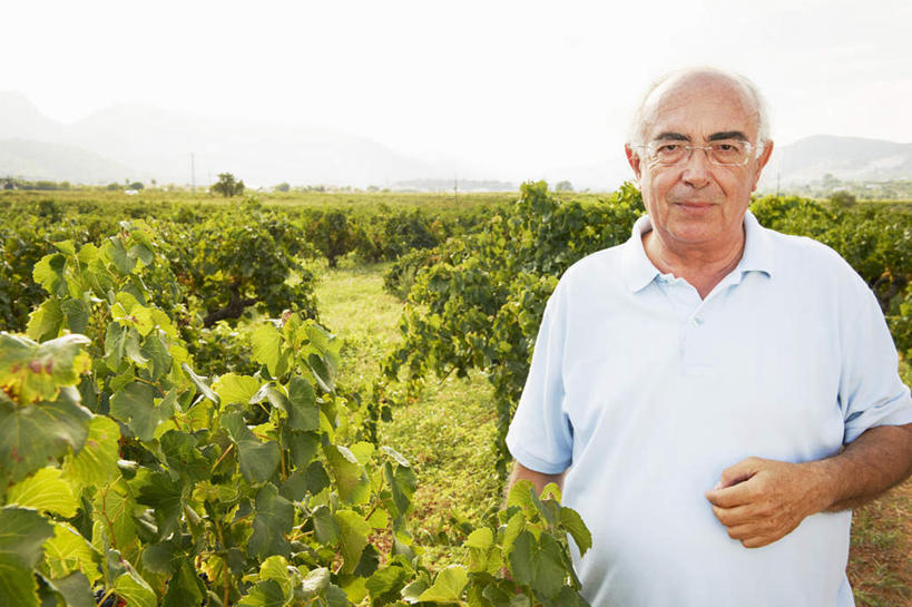 西方人,一个人,果园,站,摸,横图,室外,白天,正面,衬衫,快乐,兴奋,骄傲,成功,胜利,田园,欧洲,欧洲人,仅一个男性,仅一个人,一排,许多,抚摸,阴影,服装,整齐,光线,影子,注视,休闲装,葡萄园,架子,排列,衣服,白色,天空,阳光,庄园,天,观察,看,站着,仅一个老年男性,休闲,休闲服,自信,服饰,观看,支撑,固定,察看,队列,关注,葡萄架,老年男性,男人,男性,白种人,触摸,接触,站立,半身,彩图,衬衣,欢乐,开心