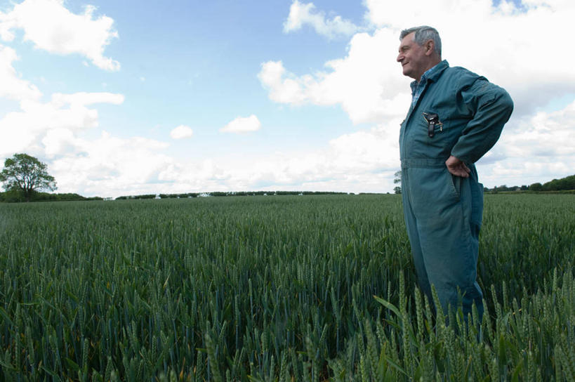 西方人,一个人,农民,农田,站,横图,室外,白天,侧面,工作服,制服,庄稼,农作物,植物,欧洲,欧洲人,仅一个男性,仅一个人,阴影,光线,影子,云,云朵,麦田,云彩,注视,手叉腰,树,树木,蓝色,绿色,白云,蓝天,天空,阳光,自然,天,叉腰,观察,看,站着,仅一个老年男性,生长,晴朗,成长,观看,察看,双手叉腰,关注,农人,工作制服,老年男性,男人,男性,白种人,晴空,农夫,站立,半身,彩图,工作套服,耕地,庄稼田