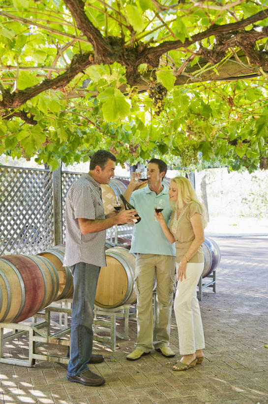 红酒,葡萄酒,西方人,三个人,伙伴,朋友,果园,站,笑,微笑,露齿笑,竖图,室外,白天,正面,友谊,田园,杯子,欧洲,欧洲人,握,阴影,服装,光线,高脚杯,桶,影子,红酒杯,酒类,拿,拿着,注视,休闲装,葡萄园,架子,玻璃制品,酒,饮料,衣服,阳光,酒杯,容器,庄园,观察,看,站着,休闲,休闲服,红葡萄酒,握着,服饰,观看,储藏,支撑,固定,察看,葡萄酒杯,储存,关注,葡萄架,友情,男人,男性,女人,女性,中年男性,中年女性,白种人,玻璃杯,站立,彩图,全身,贮存