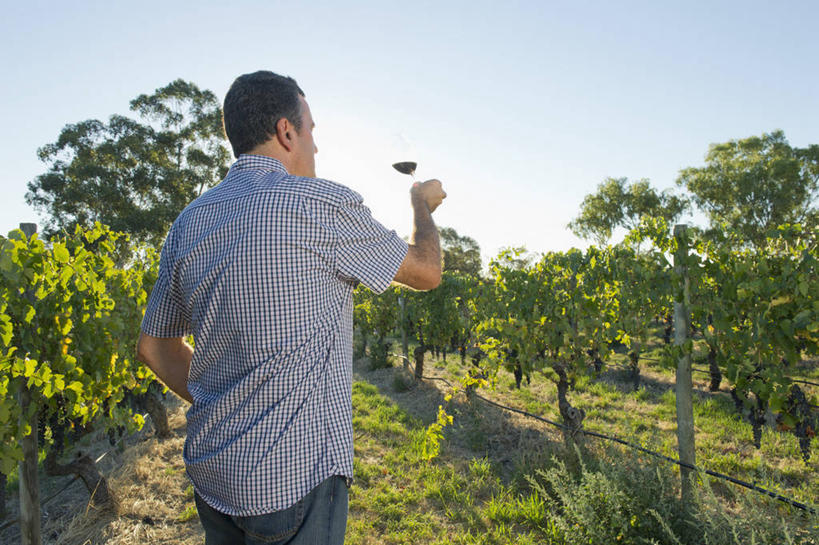 红酒,葡萄酒,西方人,一个人,果园,站,举,横图,室外,白天,侧面,草地,草坪,田园,植物,杯子,欧洲,欧洲人,仅一个男性,仅一个人,仅一个中年男性,握,阴影,服装,光线,高脚杯,影子,红酒杯,酒类,拿,拿着,休闲装,葡萄园,架子,玻璃制品,酒,草,饮料,衣服,蓝色,绿色,蓝天,天空,阳光,酒杯,庄园,天,托,站着,休闲,休闲服,红葡萄酒,握着,服饰,晴朗,支撑,固定,葡萄酒杯,葡萄架,万里无云,男人,男性,中年男性,白种人,玻璃杯,晴空,晴空万里,举起,举手,举着,向上举,向上伸,向上托,站立,半身,彩图