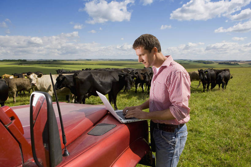 西方人,一个人,农场,站,笑,微笑,横图,室外,白天,侧面,衬衫,畜牧业,牧场,电脑,笔记本电脑,草地,草坪,植物,卡车,汽车,牛,欧洲,欧洲人,仅一个男性,仅一个人,仅一个中年男性,一辆,许多,敲打,阴影,裤子,光线,网络,影子,云,云朵,云彩,注视,牛仔裤,输入,通讯设备,车,草,蓝色,绿色,白云,蓝天,天空,阳光,动物,交通工具,天,打字,低头,观察,看,站着,家畜,牲畜,晴朗,观看,点击,一台,敲击,察看,无线,关注,载具,通信设备,无线网络,无线上网,便携式电脑,畜牧,牧业,按键,手提电脑,男人,男性,中年男性,白种人,晴空,站立,半身,彩图,衬衣