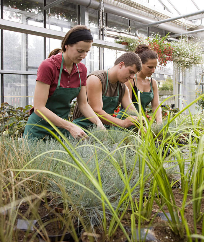 西方人,三个人,伙伴,朋友,店员,站,竖图,室内,白天,正面,友谊,合作,团队,植物,窗户,落地窗,欧洲,欧洲人,一排,握,服装,整齐,盆栽,围裙,盆景,拿,温室,拿着,注视,休闲装,玻璃窗,排列,衣服,绿色,自然,低头,观察,看,站着,营业员,休闲,休闲服,战略,握着,服饰,设施,生长,成长,观看,察看,暖房,防寒,队列,关注,加温,透光,保温,联合,合谋,销售人员,配合,协作,年轻女性,女人,女性,白种人,售货员,站立,半身,彩图