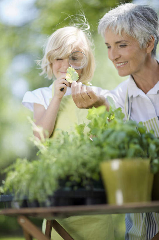 西方人,儿童,老年人,两个人,家庭,祖母,站,坐,笑,微笑,露齿笑,竖图,室外,白天,正面,纯洁,草地,草坪,植物,花盆,欧洲,欧洲人,握,阴影,服装,朦胧,模糊,光线,盆栽,影子,园艺,盆景,拿,拿着,注视,休闲装,草,树,树木,小孩,衣服,绿色,阳光,自然,观察,看,站着,休闲,温暖,温馨,一家人,休闲服,可爱,童年,童趣,握着,服饰,生长,奶奶,成长,观看,祖孙,和睦,察看,关注,童真,烂漫,无邪,外婆,外孙女,外祖母,天真,老年女性,女孩,女人,女性,白种人,孩子,孙女,站立,坐着,半身,彩图,融洽,女生