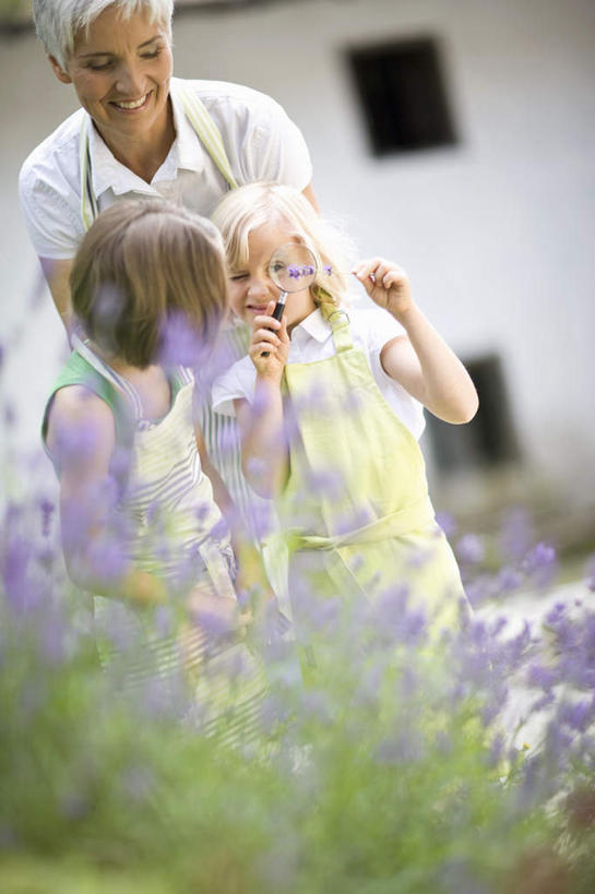 西方人,儿童,老年人,三个人,家庭,祖母,笑,微笑,露齿笑,竖图,室外,白天,正面,纯洁,草地,草坪,植物,欧洲,欧洲人,阴影,服装,光线,影子,墙,注视,休闲装,墙壁,墙面,草,树,树木,小孩,衣服,绿色,阳光,自然,观察,看,休闲,温暖,温馨,一家人,休闲服,可爱,童年,童趣,服饰,生长,奶奶,成长,观看,祖孙,和睦,察看,关注,童真,烂漫,无邪,外婆,外孙女,外祖母,天真,老年女性,女孩,女人,女性,白种人,孩子,孙女,半身,彩图,融洽,女生