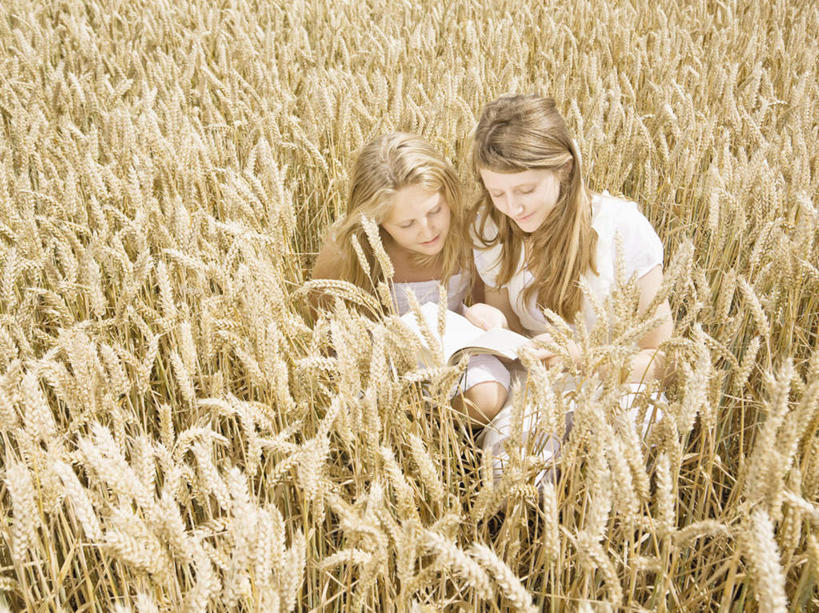 西方人,儿童,两个人,家庭,姐妹,农田,站,笑,微笑,露齿笑,横图,俯视,室外,白天,裙子,纯洁,庄稼,农作物,书籍,欧洲,欧洲人,一本,握,阴影,连衣裙,光线,影子,拿,麦田,拿着,注视,小孩,白色,阳光,观察,看,站着,温暖,温馨,一家人,金色,可爱,童年,童趣,握着,观看,和睦,察看,关注,童真,烂漫,无邪,天真,女孩,女人,女性,白种人,长发,书,图书,站立,半身,彩图,高角度拍摄,耕地,庄稼田,融洽,女生