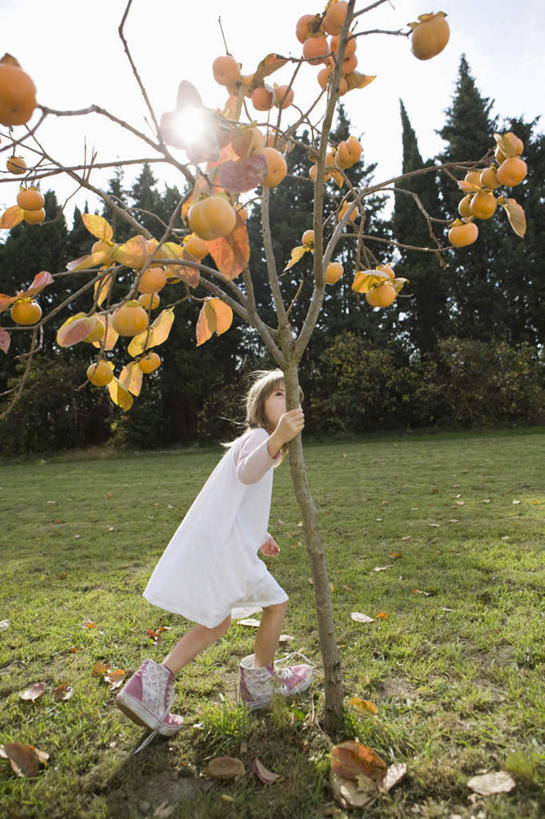 西方人,儿童,一个人,站,竖图,室外,白天,侧面,纯洁,草地,草坪,树林,植物,叶子,欧洲,欧洲人,仅一个女性,仅一个人,服装,枯叶,落叶,注视,休闲装,草,树,树木,小孩,衣服,蓝色,绿色,蓝天,天空,自然,天,扶,观察,看,站着,仅一个小孩,休闲,休闲服,可爱,童年,童趣,服饰,生长,晴朗,成长,观看,察看,扶着,关注,童真,烂漫,无邪,万里无云,天真,女孩,女人,女性,白种人,孩子,叶,叶片,晴空,晴空万里,站立,彩图,全身,女生