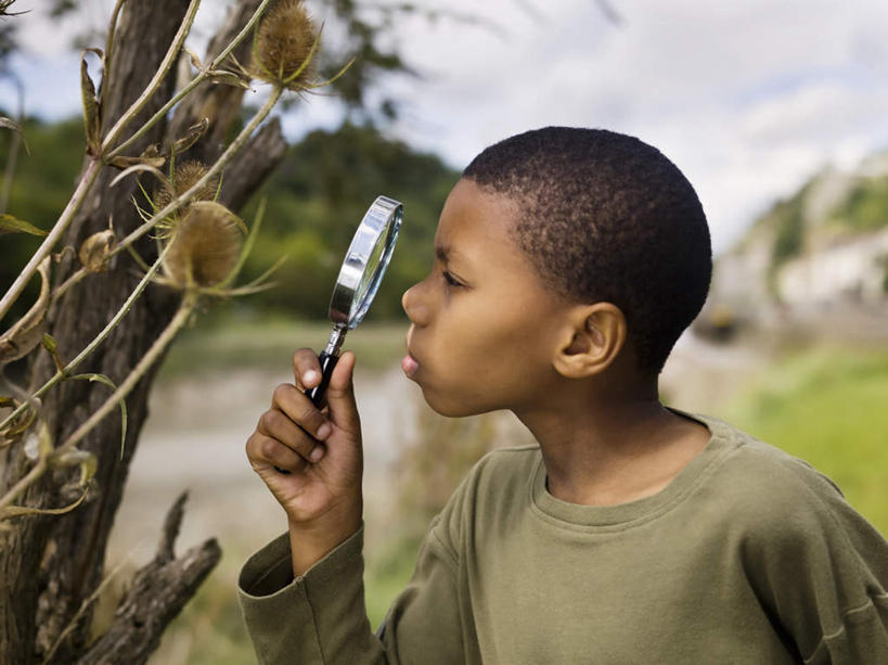 西方人,儿童,一个人,站,横图,室外,白天,正面,纯洁,仪器,草地,草坪,植物,欧洲,非洲,黑人,欧洲人,仅一个男性,仅一个人,握,阴影,服装,检查,反射,分析,光线,科学,放大镜,影子,云,云朵,拿,云彩,拿着,注视,休闲装,草,树,树木,小孩,衣服,蓝色,绿色,白云,蓝天,天空,阳光,自然,天,观察,看,站着,仅一个小孩,休闲,休闲服,可爱,清晰,探索,童年,童趣,握着,服饰,生长,放大,晴朗,成长,观看,仔细,透镜,察看,凸透镜,聚焦,关注,童真,烂漫,无邪,光学,清楚,天真,男孩,男人,男性,非洲人,孩子,晴空,站立,半身,彩图,短发,男生