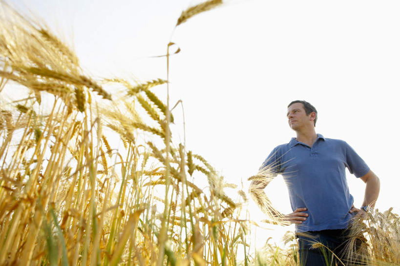 西方人,一个人,农田,站,横图,室外,白天,仰视,T恤衫,庄稼,农作物,欧洲,欧洲人,仅一个男性,仅一个人,仅一个中年男性,阴影,服装,光线,影子,麦田,T恤,注视,休闲装,手叉腰,衣服,蓝色,天空,阳光,天,叉腰,观察,看,站着,休闲,休闲服,服饰,观看,察看,双手叉腰,关注,男人,男性,中年男性,白种人,站立,半身,彩图,低角度拍摄,耕地,庄稼田