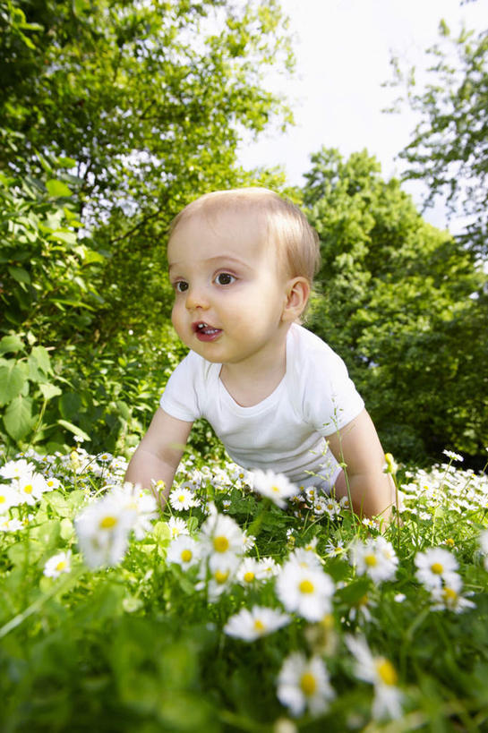 西方人,婴儿,儿童,一个人,竖图,室外,白天,正面,婴儿服装,纯洁,草地,草坪,花海,花圃,植物,叶子,欧洲,欧洲人,仅一个人,许多,阴影,盛开,光线,影子,花蕾,注视,草,花,花瓣,花朵,花卉,鲜花,树,树木,小孩,绿色,白色,天空,阳光,自然,花丛,花束,花田,天,花苞,花蕊,观察,看,趴着,张嘴,可爱,活泼,生长,成长,观看,察看,关注,宝宝,张大嘴巴,纯真,烂漫,无邪,伶俐,天真,白种人,孩子,张开嘴,趴,彩图,全身,婴儿服