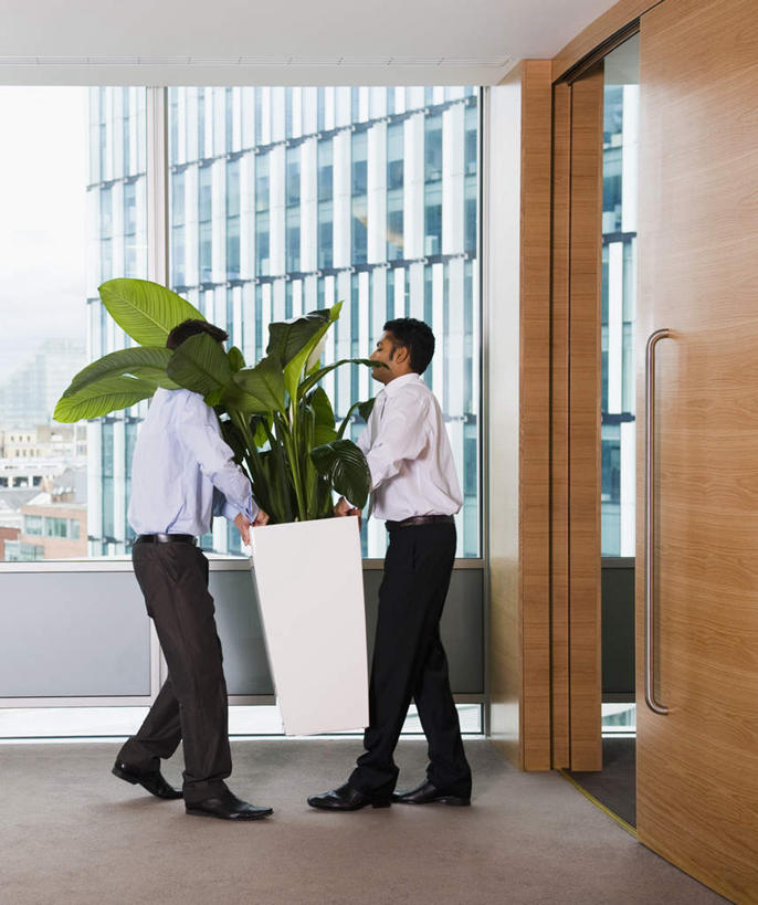 西方人,两个人,同事,商务人士,商务男性,办公室,高楼大厦,走,搬运,竖图,室内,白天,侧面,衬衫,成功,合作,团队,集体,信心,植物,窗户,门,大厦,建筑,摩天大楼,欧洲,欧洲人,亚洲,套装,盆栽,墙,盆景,地面,注视,队伍,玻璃窗,墙壁,墙面,绿色,自然,把手,门把手,门框,观察,看,生长,成长,观看,门把,察看,领导,成就,关注,商务装,合伙,领袖,工薪阶层,男人,男性,年轻男性,白种人,亚洲人,印度人,白领,上班族,搬,步行,拉手,散步,走路,彩图,全身,衬衣,大楼,高层建筑,高楼,摩天楼