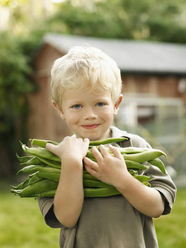 西方人,儿童,一个人,家,站,捧,笑,微笑,竖图,室外,白天,正面,纯洁,草地,草坪,树林,植物,蔬菜,欧洲,欧洲人,仅一个男性,仅一个人,一堆,许多,阴影,堆叠,堆积,服装,朦胧,模糊,新鲜,光线,影子,房屋,屋子,食品,很多,注视,休闲装,楼房,住宅,草,树,树木,食物,小孩,衣服,绿色,阳光,自然,观察,看,站着,仅一个小孩,休闲,休闲服,可爱,童年,童趣,服饰,有机食品,绿色食品,生长,成长,观看,堆,察看,关注,童真,烂漫,无邪,天真,男孩,男人,男性,白种人,孩子,端,端着,捧着,手捧,站立,半身,彩图,房子,男生