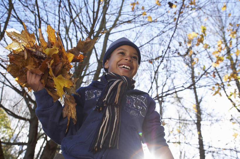 西方人,儿童,一个人,站,笑,微笑,露齿笑,横图,室外,白天,仰视,纯洁,植物,帽子,叶子,欧洲,非洲,黑人,欧洲人,仅一个男性,仅一个人,握,阴影,服装,装饰,光线,影子,枯叶,落叶,拿,拿着,注视,休闲装,树,树木,小孩,衣服,蓝色,绿色,蓝天,天空,阳光,自然,围巾,天,观察,看,站着,仅一个小孩,休闲,温暖,休闲服,可爱,童年,童趣,握着,服饰,生长,晴朗,成长,围脖,观看,保暖,华丽,点缀,察看,御寒,关注,童真,烂漫,无邪,万里无云,衬托,美观,雅致,雅观,棉帽,天真,男孩,男人,男性,非洲人,孩子,叶,叶片,晴空,晴空万里,站立,半身,彩图,低角度拍摄,男生