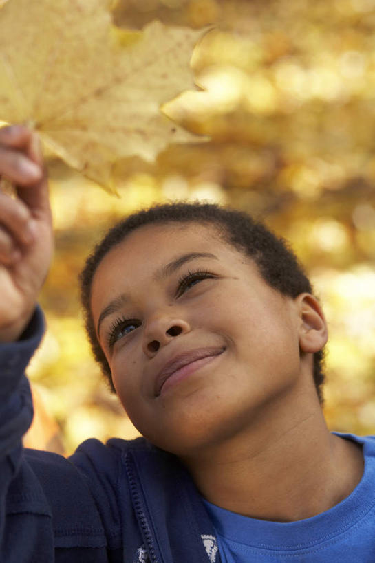 儿童,一个人,站,笑,微笑,竖图,俯视,室外,白天,纯洁,叶子,仅一个男性,仅一个人,握,阴影,服装,朦胧,模糊,光线,影子,枯叶,落叶,拿,拿着,注视,休闲装,小孩,衣服,阳光,观察,看,站着,仅一个小孩,休闲,休闲服,可爱,童年,童趣,握着,服饰,观看,察看,关注,童真,烂漫,无邪,天真,男孩,男人,男性,孩子,叶,叶片,站立,半身,彩图,高角度拍摄,男生