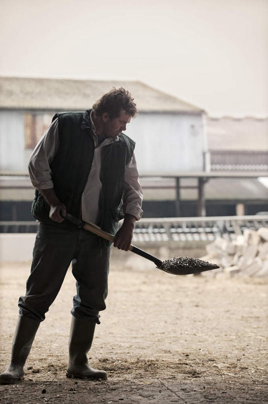 西方人,一个人,栏杆,站,竖图,室外,白天,正面,卡车,欧洲,欧洲人,仅一个男性,仅一个人,仅一个中年男性,一辆,握,服装,朦胧,模糊,铲子,墙,围栏,干草,集装箱,背光,拿,拿着,注视,休闲装,护栏,墙壁,墙面,一个,衣服,草垛,低头,观察,看,站着,休闲,休闲服,握着,服饰,集装箱车,单个,观看,合同,货车,变更,察看,关注,协议,逆光,货运车,垂头,设立,终止,干草垛,男人,男性,中年男性,白种人,载重汽车,站立,彩图,全身