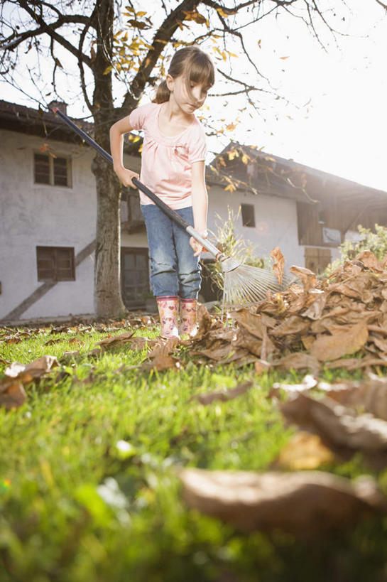 西方人,儿童,一个人,家,站,竖图,室外,白天,仰视,纯洁,草地,草坪,植物,叶子,金属制品,欧洲,欧洲人,仅一个女性,仅一个人,一堆,许多,握,阴影,堆叠,堆积,服装,朦胧,模糊,光线,金属,工具,影子,房屋,屋子,云,云朵,枯叶,落叶,很多,拿,云彩,拿着,注视,休闲装,楼房,住宅,草,树,树木,一个,小孩,衣服,蓝色,绿色,白云,蓝天,天空,阳光,自然,天,低头,观察,看,站着,仅一个小孩,休闲,休闲服,可爱,童年,童趣,握着,服饰,生长,晴朗,单个,成长,观看,堆,察看,耙子,关注,童真,烂漫,无邪,农具,垂头,耕具,天真,女孩,女人,女性,白种人,孩子,叶,叶片,晴空,站立,彩图,低角度拍摄,全身,房子,女生