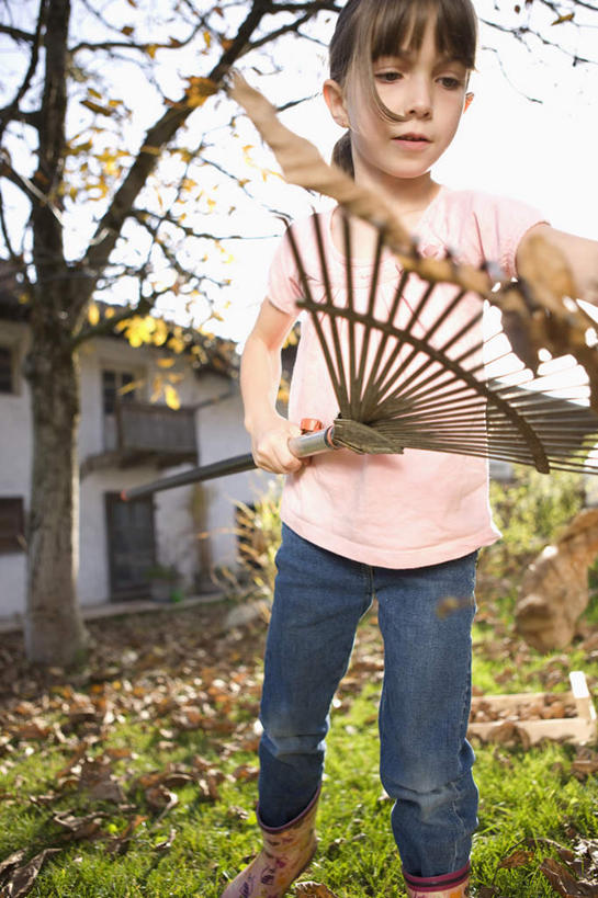 西方人,儿童,一个人,家,站,竖图,室外,白天,正面,纯洁,草地,草坪,树林,植物,叶子,金属制品,欧洲,欧洲人,仅一个女性,仅一个人,握,服装,金属,工具,房屋,屋子,枯叶,落叶,拿,拿着,注视,休闲装,楼房,住宅,草,树,树木,小孩,衣服,蓝色,绿色,蓝天,天空,自然,天,观察,看,站着,仅一个小孩,休闲,休闲服,可爱,童年,童趣,握着,服饰,生长,晴朗,成长,观看,察看,耙子,关注,童真,烂漫,无邪,农具,万里无云,耕具,天真,女孩,女人,女性,白种人,孩子,叶,叶片,晴空,晴空万里,站立,半身,彩图,房子,女生