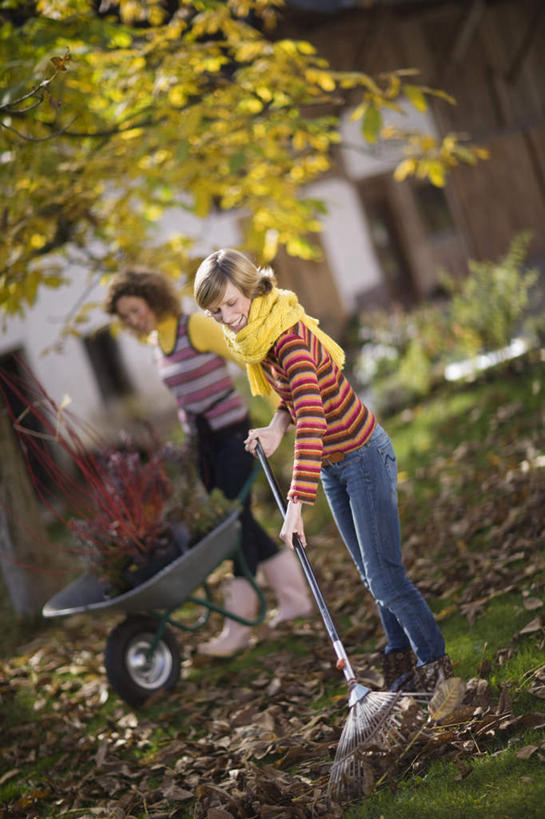 西方人,两个人,伙伴,朋友,家,站,竖图,室外,白天,正面,友谊,草地,草坪,树林,植物,金属制品,欧洲,欧洲人,握,服装,装饰,金属,工具,房屋,屋子,泥土,土壤,拿,拿着,注视,休闲装,楼房,住宅,车,草,树,树木,衣服,绿色,自然,手推车,围巾,交通工具,观察,看,站着,休闲,温暖,休闲服,握着,服饰,独轮车,生长,成长,围脖,观看,保暖,华丽,点缀,察看,耙子,御寒,关注,载具,农具,衬托,美观,雅致,雅观,耕具,友情,年轻女性,女人,女性,白种人,站立,彩图,全身,房子