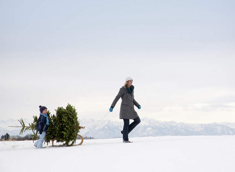 西方人,儿童,中年人,两个人,家庭,母亲,儿子,走,横图,室外,白天,侧面,纯洁,雪,植物,大雪,帽子,欧洲,欧洲人,握,服装,装饰,积雪,雪景,冬季,冬天,圣诞树,拿,拿着,注视,休闲装,树,树木,小孩,衣服,绿色,自然,围巾,观察,看,休闲,温暖,温馨,母子,一家人,休闲服,寒冷,可爱,母爱,童年,童趣,握着,服饰,生长,成长,围脖,观看,保暖,华丽,点缀,和睦,察看,御寒,关注,童真,烂漫,无邪,无边帽,衬托,美观,雅致,雅观,一顶,严寒,天真,男孩,女人,女性,中年女性,白种人,孩子,步行,散步,走路,彩图,全身,融洽,男生