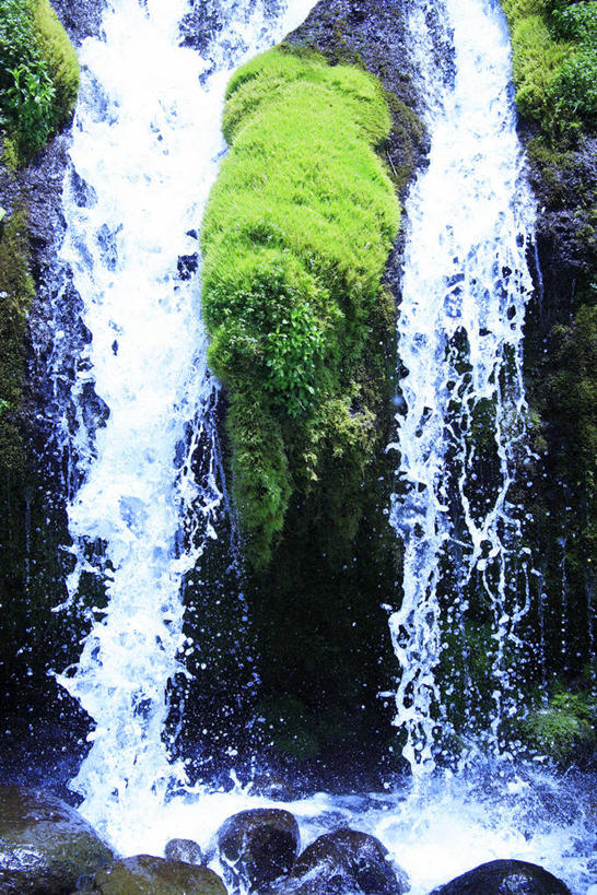 无人,竖图,室外,白天,正面,旅游,度假,石头,美景,瀑布,水,植物,静冈县,日本,亚洲,飞溅,朦胧,模糊,溅,石子,液体,景观,水滴,娱乐,水珠,树,树木,绿色,自然,享受,休闲,景色,放松,生长,成长,喷洒,自然风光,东亚,本州,本州岛,日本国,中部地方,静冈,富士宫,跌水,石块,岩石,彩图