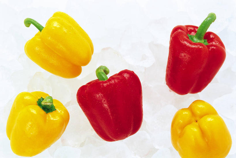 无人,横图,俯视,室内,特写,白天,白色背景,辣椒,蔬菜,五个,许多,阴影,新鲜,反射,影子,冰,冰块,食品,冷冻,食物,黄色,红色,寒冷,摄影,有机食品,绿色食品,影棚,冷藏,冰冷,黄辣椒,彩椒,辣角,红海椒,大椒,辣虎,广椒,保鲜,甜椒,柿子椒,辣子,海椒,番椒,灯笼椒,彩图,高角度拍摄,影棚拍摄,拍摄,黄灯笼辣椒,黄帝椒