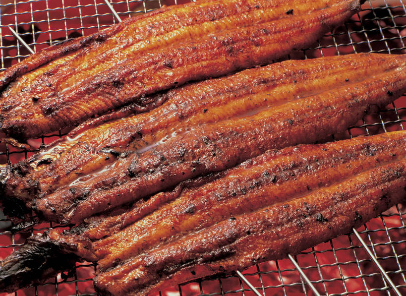 海鲜,鳗鱼,无人,横图,俯视,室内,特写,白天,烹饪,烧烤,煤炭,鳗鲡,鱼,肉,鱼肉,日本料理,料理,食品,烤架,烤肉,水产,菜肴,美食,肉类,鱼类,海洋生物,食物,日式料理,日式,铁架,佳肴,能源,燃料,水生动物,烤鳗鱼,海产品,煤,能量,水生物,肉食,海底动物,煤矿,矿业,化石燃料,彩图,高角度拍摄