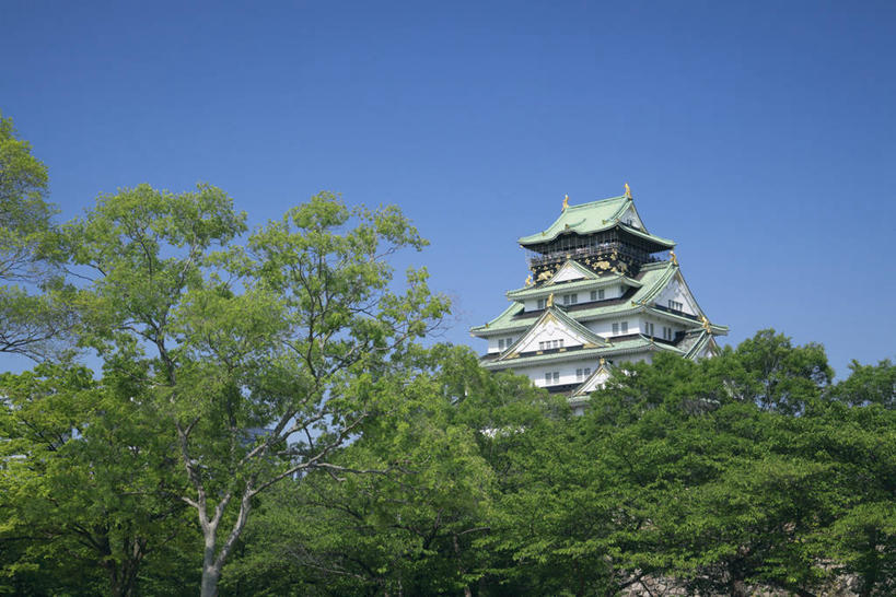 无人,公园,横图,室外,白天,仰视,旅游,度假,名胜古迹,森林,树林,植物,标志建筑,地标,建筑,日本,亚洲,阴影,遗迹,光线,影子,堡垒,城堡,中央区,古迹,文物,娱乐,建设,古建筑,树,树木,蓝色,绿色,蓝天,天空,阳光,自然,天,享受,休闲,旅游胜地,放松,大阪,大阪城公园,生长,晴朗,成长,要塞,古文明,东亚,本州,万里无云,大阪府,本州岛,日本国,近畿地方,大阪城,近畿,设防,晴空,晴空万里,彩图,低角度拍摄