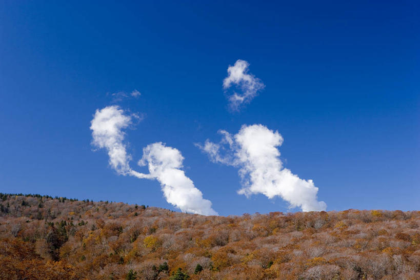 无人,横图,室外,白天,仰视,旅游,度假,石头,美景,秋季,山,山脉,植物,叶子,秋田县,日本,亚洲,阴影,光线,石子,影子,景观,山峰,云,云朵,枯叶,落叶,山峦,云彩,娱乐,树,树木,蓝色,绿色,白云,蓝天,天空,阳光,自然,群山,天,享受,休闲,景色,放松,生长,晴朗,成长,自然风光,东亚,本州,本州岛,日本国,秋田,东北地方,叶,叶片,石块,岩石,晴空,秋,秋天,彩图,低角度拍摄,鹿角市