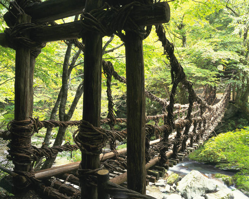 无人,横图,室外,白天,正面,旅游,度假,河流,美景,森林,山,山脉,树林,水,植物,日本,亚洲,阴影,光线,影子,河水,景观,山峰,水流,桥,山峦,娱乐,树,树木,绿色,小溪,阳光,自然,群山,溪水,享受,休闲,景色,放松,吊桥,生长,成长,人行桥,悬索桥,自然风光,吊杆,东亚,德岛县,日本国,四国地方,四国,四国岛,徳岛,锚锭,悬索,彩图,三好市,祖谷葛藤桥