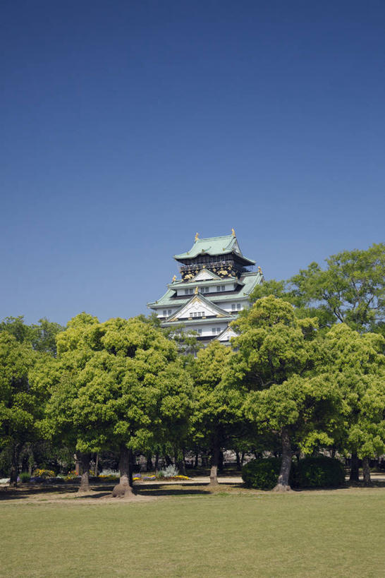 无人,公园,竖图,室外,白天,正面,旅游,度假,草地,草坪,名胜古迹,树林,植物,标志建筑,地标,建筑,日本,亚洲,阴影,遗迹,光线,影子,堡垒,城堡,中央区,古迹,文物,娱乐,建设,古建筑,草,树,树木,蓝色,绿色,蓝天,天空,阳光,自然,天,享受,休闲,旅游胜地,放松,大阪,大阪城公园,生长,晴朗,成长,要塞,古文明,东亚,本州,万里无云,大阪府,本州岛,日本国,近畿地方,大阪城,近畿,设防,晴空,晴空万里,彩图