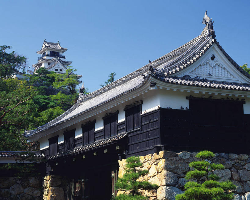 无人,横图,室外,白天,正面,旅游,度假,名胜古迹,植物,标志建筑,地标,建筑,日本,亚洲,阴影,遗迹,光线,瓦片,影子,堡垒,城堡,屋顶,顶棚,瓦,古迹,文物,娱乐,建设,古建筑,树,树木,蓝色,绿色,蓝天,天空,阳光,自然,天,享受,休闲,旅游胜地,放松,建造,生长,晴朗,成长,要塞,古文明,东亚,屋瓦,万里无云,高知城,高知,日本国,高知县,四国地方,四国,四国岛,设防,晴空,晴空万里,彩图