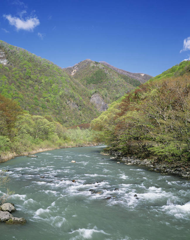 无人,竖图,室外,白天,正面,旅游,度假,河流,美景,森林,山,山脉,树林,水,植物,日本,亚洲,阴影,光线,影子,河水,景观,山峰,水流,云,云朵,山峦,云彩,娱乐,树,树木,蓝色,绿色,白云,蓝天,天空,小溪,阳光,自然,群山,天,溪水,享受,休闲,景色,放松,生长,晴朗,成长,自然风光,东亚,德岛县,日本国,四国地方,四国,四国岛,徳岛,奥入濑町,奥入濑溪流,晴空,彩图,胜浦郡,胜浦町