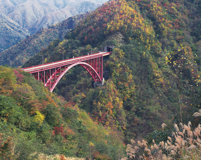 无人,横图,俯视,航拍,室外,白天,旅游,度假,美景,秋季,森林,山,山脉,树林,植物,桥梁,叶子,日本,亚洲,阴影,光线,影子,景观,山峰,桥,枯叶,落叶,山峦,娱乐,石桥,拱桥,树,树木,绿色,阳光,自然,群山,享受,休闲,景色,放松,拱形,生长,成长,人行桥,石拱桥,鸟瞰,自然风光,东亚,本州,关东地方,本州岛,日本国,崎玉,崎玉县,叶,叶片,秋,秋天,彩图,高角度拍摄,秩父市