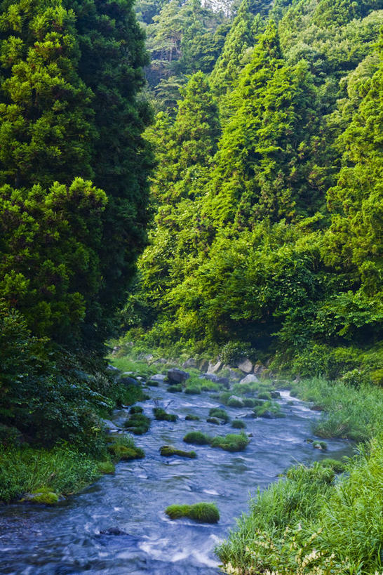 无人,竖图,室外,白天,正面,旅游,度假,草地,草坪,河流,美景,树林,水,植物,静冈县,日本,亚洲,阴影,光线,影子,河水,景观,水流,娱乐,草,树,树木,绿色,阳光,自然,享受,休闲,景色,放松,生长,成长,自然风光,东亚,本州,本州岛,日本国,中部地方,静冈,富士宫,彩图,富士宫市