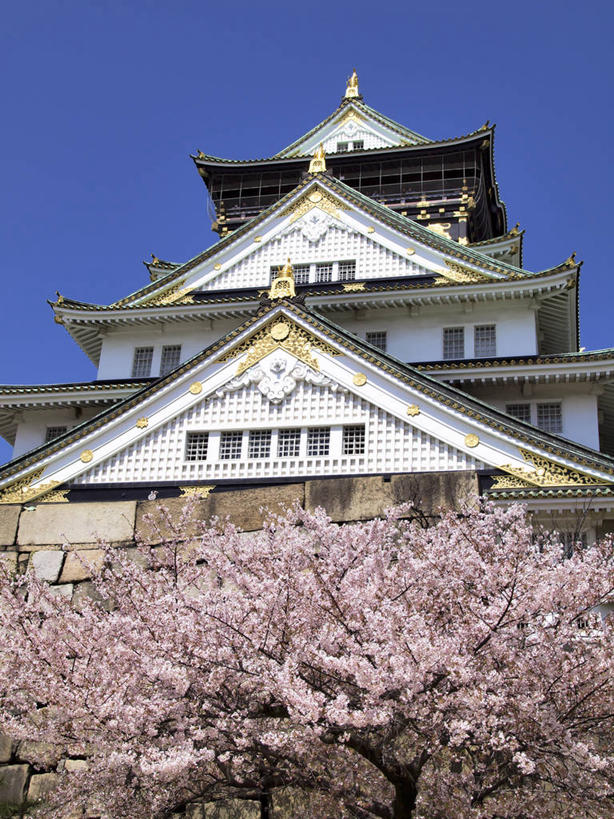 无人,公园,竖图,室外,白天,仰视,旅游,度假,幸福,纯洁,名胜古迹,标志建筑,地标,建筑,樱花,日本,亚洲,阴影,遗迹,盛开,光线,瓦片,影子,堡垒,城堡,屋顶,中央区,花蕾,顶棚,瓦,古迹,文物,娱乐,建设,古建筑,花,花瓣,花朵,鲜花,粉色,蓝色,蓝天,天空,阳光,天,花苞,花蕊,享受,休闲,旅游胜地,放松,建造,大阪,大阪城公园,晴朗,等待,生命,要塞,古文明,东亚,屋瓦,本州,万里无云,大阪府,本州岛,日本国,近畿地方,大阪城,近畿,仙樱花,福岛樱,青肤樱,高尚,热烈,设防,晴空,晴空万里,荆桃,彩图,低角度拍摄