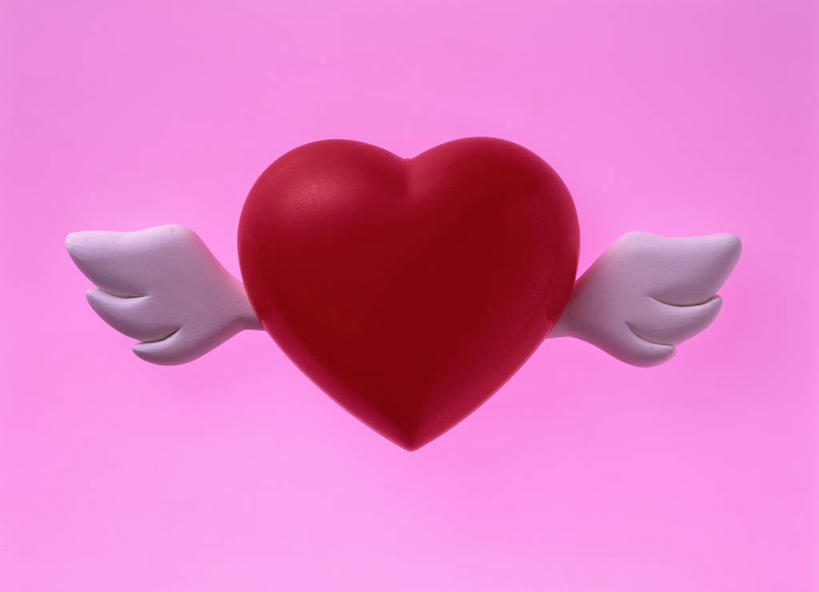 无人,横图,室内,特写,白天,正面,爱情,情人节,粉色背景,节日,爱心,庆祝,翅膀,浪漫,文化,红色,白色,庆典,温暖,温馨,心形,恩爱,摄影,影棚,纪念,和睦,心型,彩图,影棚拍摄,拍摄,融洽