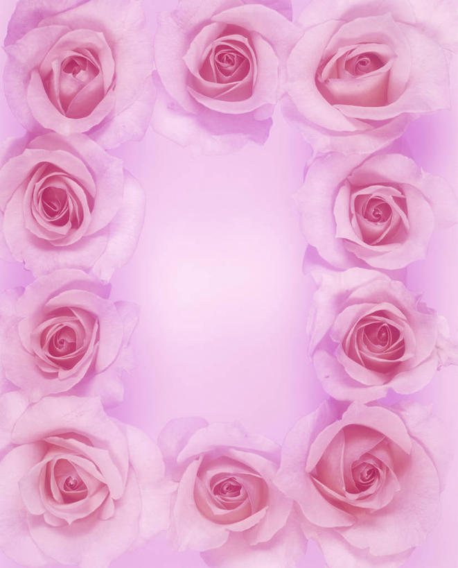 无人,竖图,俯视,室内,特写,白天,爱情,幸福,纯洁,热情,玫瑰,一排,许多,粉色背景,整齐,并列,并排,盛开,玫瑰花,很多,浪漫,花蕾,花,花瓣,花朵,鲜花,排列,粉色,花苞,花蕊,温暖,温馨,恩爱,摄影,影棚,和睦,队列,感动,平行,粉玫瑰,尊敬,天真,刺玫花,徘徊花,彩图,高角度拍摄,影棚拍摄,拍摄,融洽