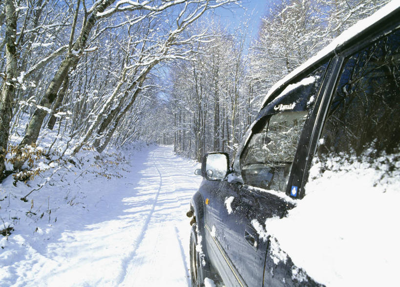 无人,横图,室外,白天,正面,美景,树林,雪,植物,大雪,窗户,汽车,北海道,日本,亚洲,阴影,光线,影子,积雪,景观,雪景,冬季,冬天,枝条,玻璃窗,车,树,树木,树枝,蓝色,绿色,蓝天,天空,阳光,自然,车窗,交通工具,轿车,天,景色,寒冷,生长,晴朗,成长,自然风光,载具,东亚,万里无云,日本国,北海道地方,北海道岛,严寒,虬枝,枝杈,晴空,晴空万里,彩图,千岁,石狩振兴局,石狩支厅,千岁市