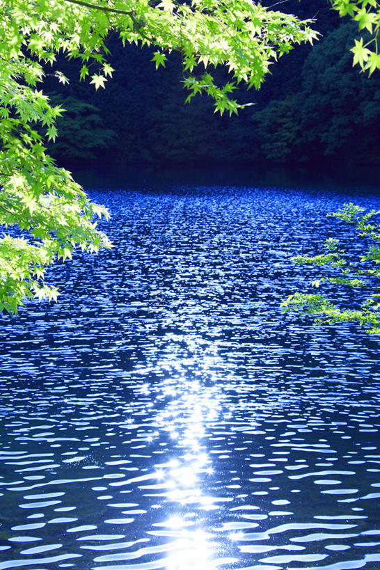 无人,竖图,室外,白天,正面,旅游,度假,湖,湖泊,美景,水,植物,长野县,静冈县,日本,亚洲,阴影,波纹,光线,影子,湖面,景观,水流,水面,涟漪,娱乐,树,树木,绿色,水纹,阳光,自然,波浪,湖水,享受,休闲,景色,放松,生长,成长,自然风光,东亚,本州,本州岛,日本国,中部地方,静冈,山梨,山梨县,水晕,长野,彩图,赤石山脉,南阿尔卑斯