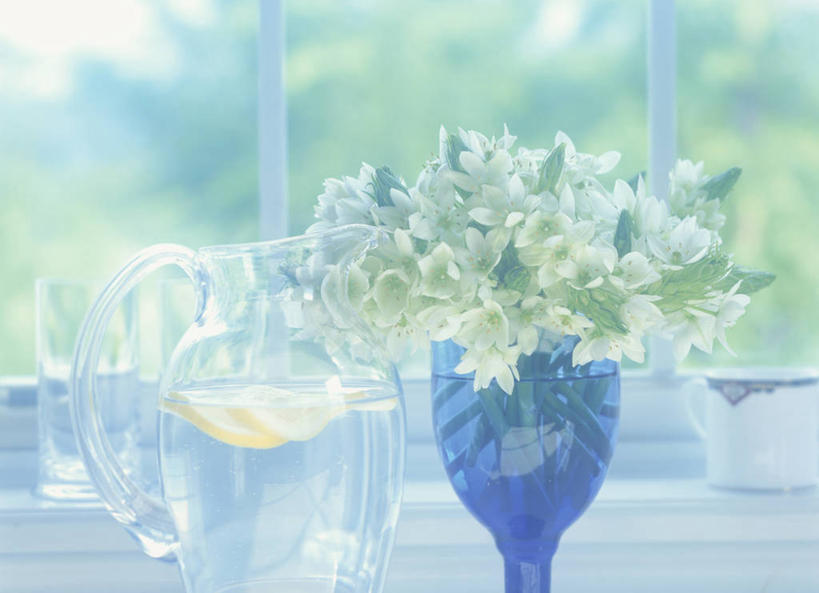 无人,横图,室内,特写,白天,正面,窗户,报春花,杯子,花瓶,阴影,朦胧,模糊,盛开,反射,影子,花蕾,玻璃窗,玻璃制品,花,花瓣,花朵,鲜花,玻璃瓶,瓶子,水杯,花苞,花蕊,樱草,独一,仅有,唯一,唯有,惟一,惟有,七瓣莲,年景花,四季报春,玻璃杯,彩图