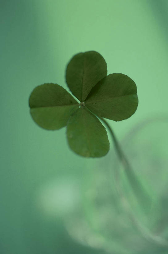 无人,竖图,插画,室内,白天,正面,自由,数码,科技,绿色背景,阴影,网络,四叶草,高光,几何,计算机图形,合成,图画,画,幸运草,绿色,电脑合成图,数码合成图,合成图,和平,漫画,写实,具体,具象,牛角花,统一,团结,幸运,彩图