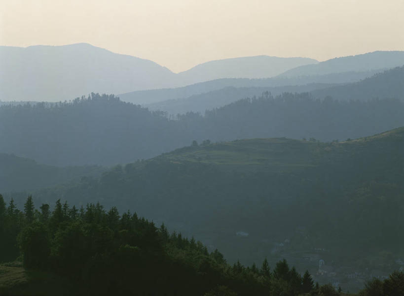 无人,横图,室外,白天,正面,旅游,度假,美景,山,山脉,植物,雾,法国,欧洲,阴影,朦胧,模糊,光线,影子,景观,山峰,山峦,娱乐,树,树木,绿色,天空,阳光,自然,群山,天,享受,休闲,景色,放松,生长,成长,迷雾,西欧,法兰西,自然风光,法兰西共和国,法兰西第五共和国,洛林,洛林大区,孚日省,大雾,彩图