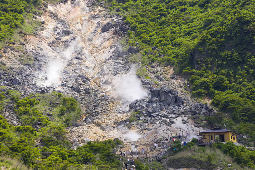 无人,横图,俯视,室外,白天,旅游,度假,草地,草坪,美景,树林,植物,雾,神奈川,日本,亚洲,阴影,沸腾,光线,蒸汽,影子,景观,水蒸气,神奈川县,娱乐,草,树,树木,绿色,阳光,自然,享受,休闲,景色,放松,生长,成长,自然风光,东亚,本州,关东地方,本州岛,日本国,蒸发,彩图,高角度拍摄,箱根町,足柄下郡