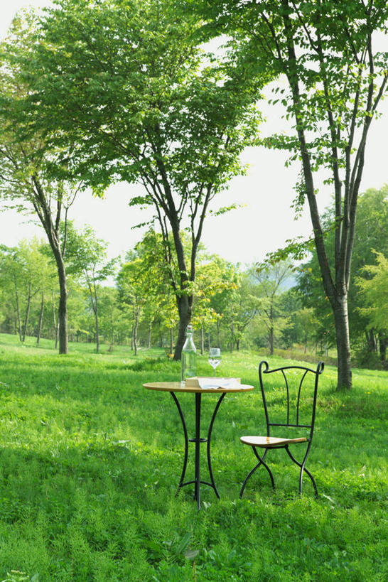 无人,竖图,室外,白天,正面,旅游,度假,草地,草坪,美景,植物,桌子,椅子,玻璃,日本,亚洲,一把,阴影,光线,影子,景观,茶几,娱乐,玻璃制品,草,树,树木,一个,绿色,天空,阳光,自然,天,享受,休闲,景色,放松,生长,单个,成长,自然风光,东亚,本州,本州岛,日本国,东北地方,山形,山形县,彩图,东田川郡,庄内町