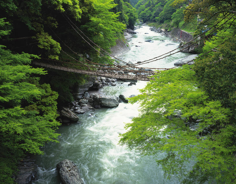 无人,横图,俯视,室外,白天,旅游,度假,河流,美景,树林,水,植物,日本,亚洲,阴影,飞溅,溅,光线,液体,影子,河水,景观,水滴,水流,桥,娱乐,水珠,树,树木,绿色,阳光,自然,享受,休闲,景色,放松,吊桥,生长,成长,人行桥,悬索桥,喷洒,自然风光,吊杆,东亚,德岛县,日本国,四国地方,四国,四国岛,徳岛,锚锭,悬索,彩图,高角度拍摄,三好市,祖谷溪