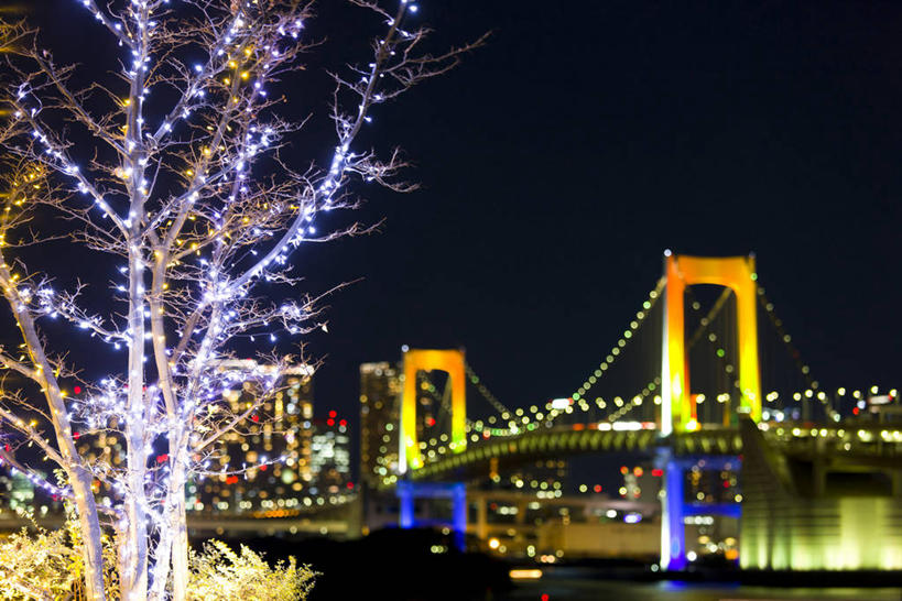 无人,高楼大厦,横图,室外,夜晚,正面,度假,海浪,海洋,美景,植物,城市风光,标志建筑,城市,大桥,大厦,地标,建筑,轮船,摩天大楼,桥梁,夜景,船,照明,东京,日本,亚洲,一艘,阴影,波纹,飞溅,溅,光线,彩灯,液体,影子,景观,浪花,水滴,斜拉桥,桥,灯光,枝条,彩虹大桥,娱乐,建设,灯,水珠,树,树木,树枝,绿色,水纹,天空,自然,海水,船尾波,灯具,交通工具,波浪,天,享受,休闲,景色,放松,花灯,生长,成长,照亮,照明设备,喷洒,载具,海景,圣诞灯,东亚,本州,关东地方,本州岛,日本国,东京都,日本彩虹大桥,虬枝,枝杈,斜张桥,大海,风浪,海,海水的波动,近岸浪,涌浪,彩图,大楼,高层建筑,高楼,摩天楼